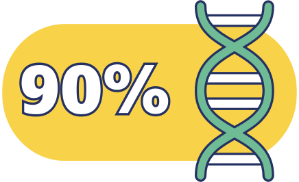 Infographic of DNA showing genetic skeletal dysplasia percentage